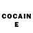 COCAIN Fish Scale Bailey Light
