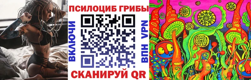 дарнет шоп Афипский Галлюциногенные грибы Cubensis